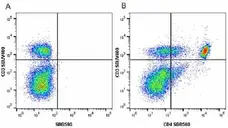 Anti Mouse CD3 Antibody, clone KT3 gallery image 92