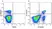 Anti Mouse CD3 Antibody, clone KT3 thumbnail image 93
