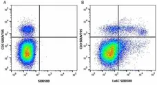 Anti Mouse CD3 Antibody, clone KT3 gallery image 94