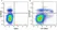 Anti Mouse CD3 Antibody, clone KT3 thumbnail image 94
