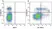 Anti Mouse CD3 Antibody, clone KT3 thumbnail image 96