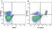 Anti Mouse CD3 Antibody, clone KT3 thumbnail image 97