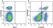 Anti Mouse CD3 Antibody, clone KT3 gallery image 98