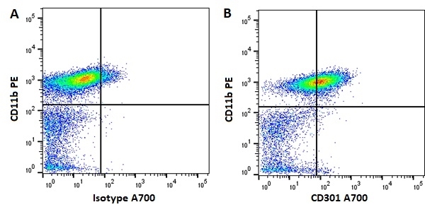 Anti Mouse CD301 Antibody, clone ER-MP23 gallery image 2