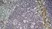 Anti Mouse CD301 Antibody, clone ER-MP23 thumbnail image 5