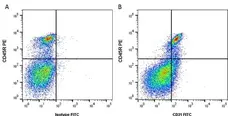 Anti Mouse CD31 Antibody, clone ER-MP12 gallery image 1