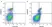 Anti Mouse CD31 Antibody, clone ER-MP12 thumbnail image 1