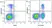 Anti Mouse CD31 Antibody, clone ER-MP12 thumbnail image 16