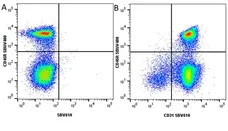 Anti Mouse CD31 Antibody, clone ER-MP12 gallery image 17