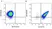 Anti Mouse CD31 Antibody, clone ER-MP12 thumbnail image 24