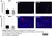 Anti Mouse CD31 Antibody, clone ER-MP12 thumbnail image 6