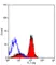 Anti Mouse CD321 Antibody, clone H202-106 thumbnail image 1