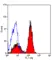 Anti Mouse CD321 Antibody, clone H202-106 thumbnail image 2
