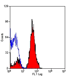 Anti Mouse CD321 Antibody, clone H202-106 gallery image 3