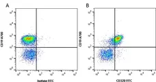 Anti Mouse CD32B Antibody, clone AT130-5 gallery image 1