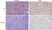 Anti Mouse CD32B Antibody, clone AT130-5R thumbnail image 1