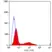 Anti Mouse CD34 Antibody, clone MEC14.7 thumbnail image 1