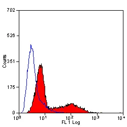Anti Mouse CD34 Antibody, clone MEC14.7 gallery image 3
