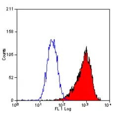 Anti Mouse CD34 Antibody, clone MEC14.7 gallery image 4