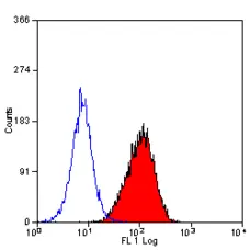 Anti Mouse CD34 Antibody, clone MEC14.7 gallery image 5