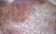 Anti Mouse CD4 Antibody, clone GK1.5 thumbnail image 2