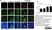 Anti Mouse CD4 Antibody, clone GK1.5 thumbnail image 5