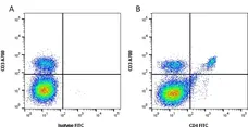 Anti Mouse CD4 Antibody, clone RM4-5 gallery image 1