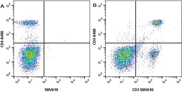 Anti Mouse CD4 Antibody, clone RM4-5 gallery image 10