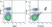 Anti Mouse CD4 Antibody, clone RM4-5 thumbnail image 12