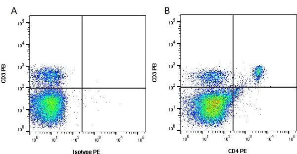 Anti Mouse CD4 Antibody, clone RM4-5 gallery image 2