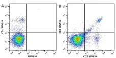 Anti Mouse CD4 Antibody, clone RM4-5 gallery image 22
