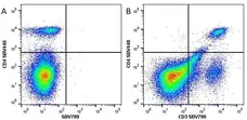 Anti Mouse CD4 Antibody, clone RM4-5 gallery image 24