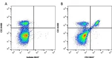 Anti Mouse CD4 Antibody, clone RM4-5 gallery image 3