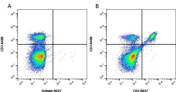 Anti Mouse CD4 Antibody, clone RM4-5 gallery image 3