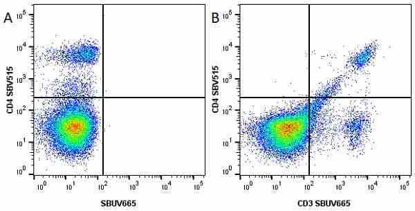 Anti Mouse CD4 Antibody, clone RM4-5 gallery image 31