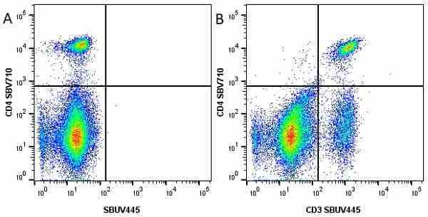 Anti Mouse CD4 Antibody, clone RM4-5 gallery image 34