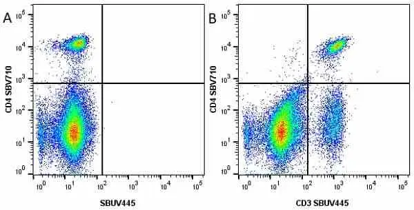 Anti Mouse CD4 Antibody, clone RM4-5 gallery image 34