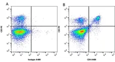 Anti Mouse CD4 Antibody, clone RM4-5 gallery image 4