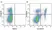 Anti Mouse CD4 Antibody, clone RM4-5 thumbnail image 40