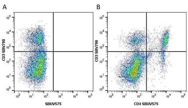 Anti Mouse CD4 Antibody, clone RM4-5 gallery image 40