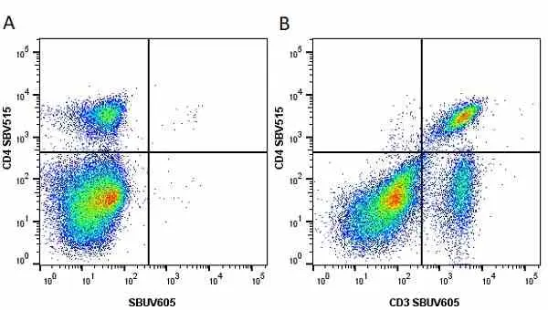 Anti Mouse CD4 Antibody, clone RM4-5 gallery image 41