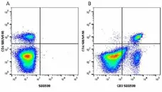 Anti Mouse CD4 Antibody, clone RM4-5 gallery image 43