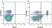 Anti Mouse CD4 Antibody, clone RM4-5 thumbnail image 47