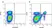 Anti Mouse CD4 Antibody, clone RM4-5 thumbnail image 5
