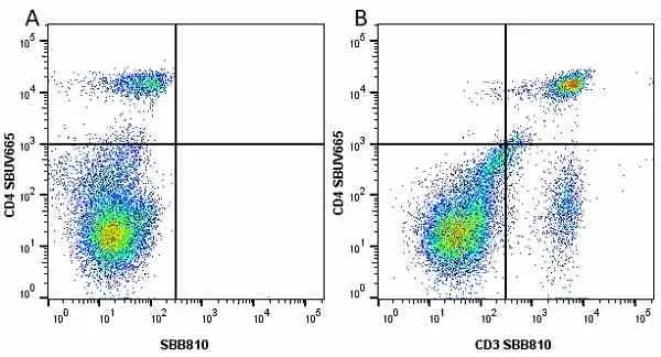 Anti Mouse CD4 Antibody, clone RM4-5 gallery image 50