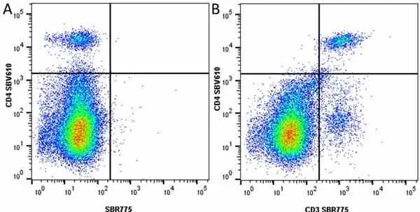 Anti Mouse CD4 Antibody, clone RM4-5 gallery image 62