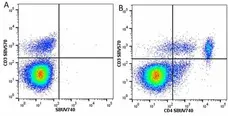 Anti Mouse CD4 Antibody, clone RM4-5 gallery image 67