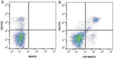 Anti Mouse CD4 Antibody, clone RM4-5 gallery image 7