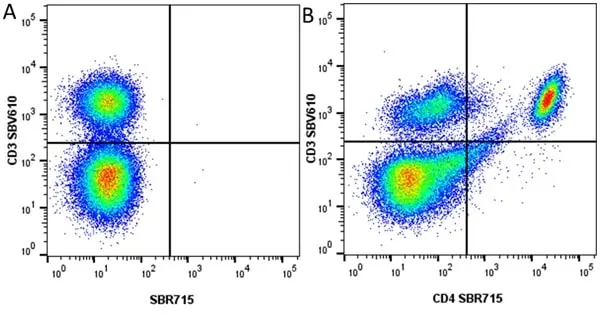 Anti Mouse CD4 Antibody, clone RM4-5 gallery image 71
