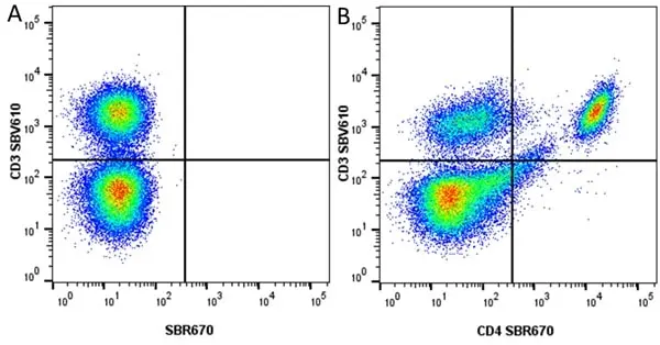 Anti Mouse CD4 Antibody, clone RM4-5 gallery image 73